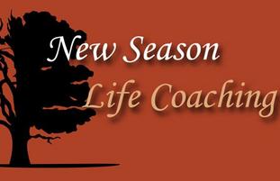 life coach, consulting, business mentor, training, bob bambino